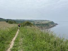 Looking up the coast from Tindall Point